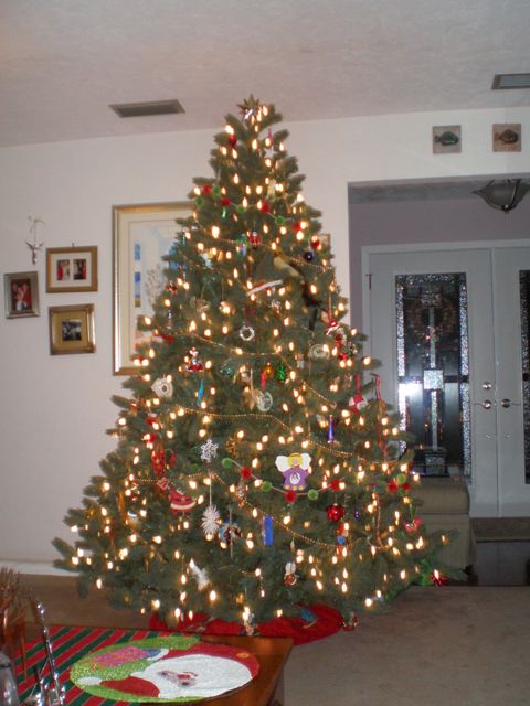 tree-2007.jpg