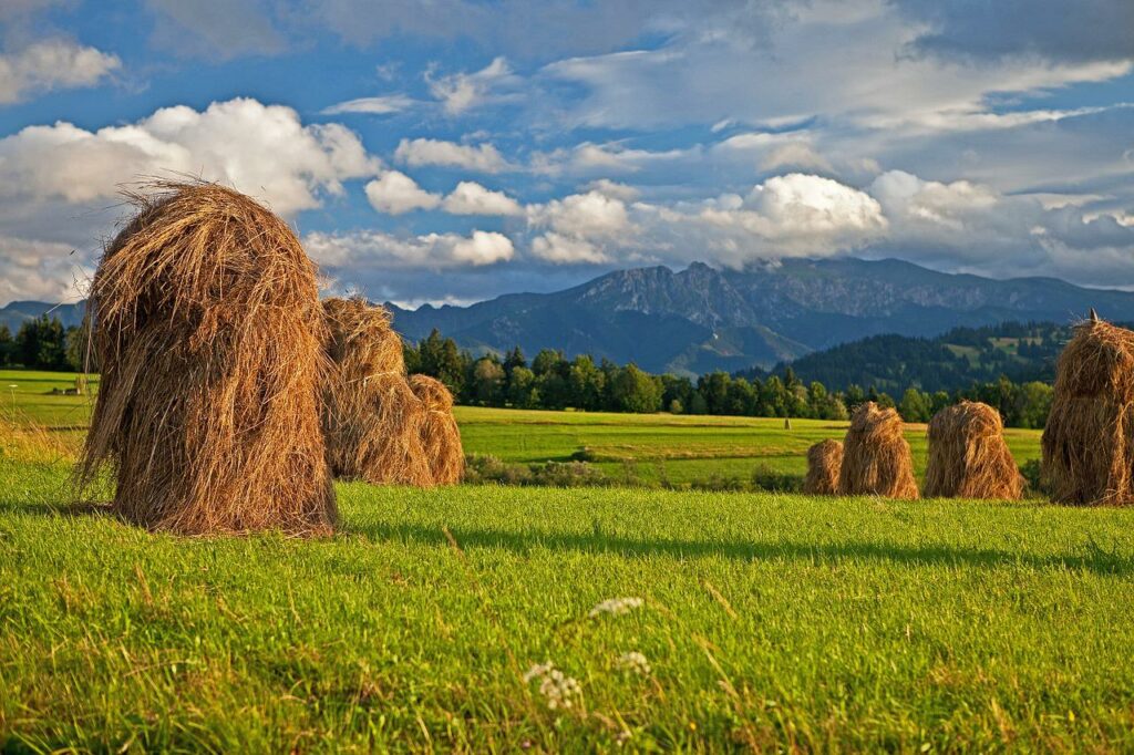 hay, poland, podhale-399686.jpg
